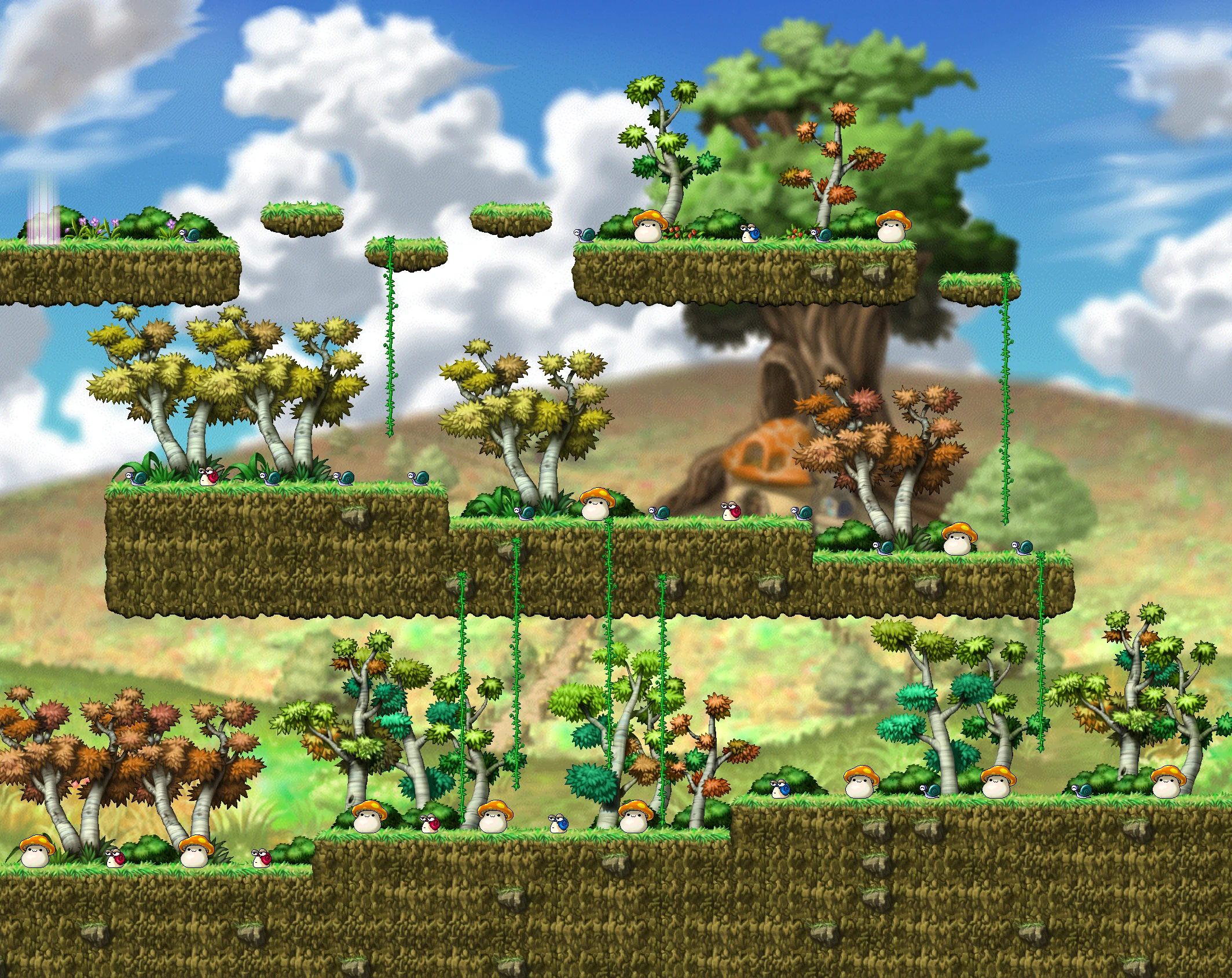 Dangerous Forest map layout