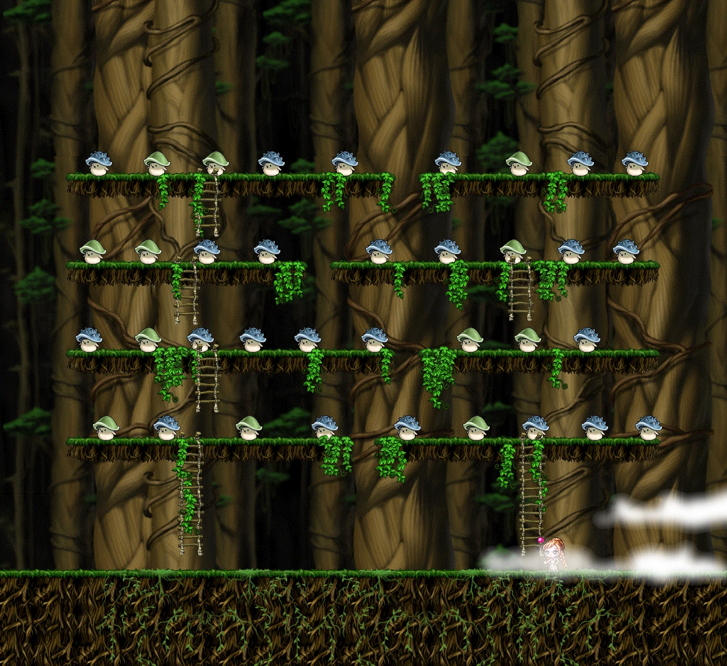 1st Accompaniment <Bonus> map layout